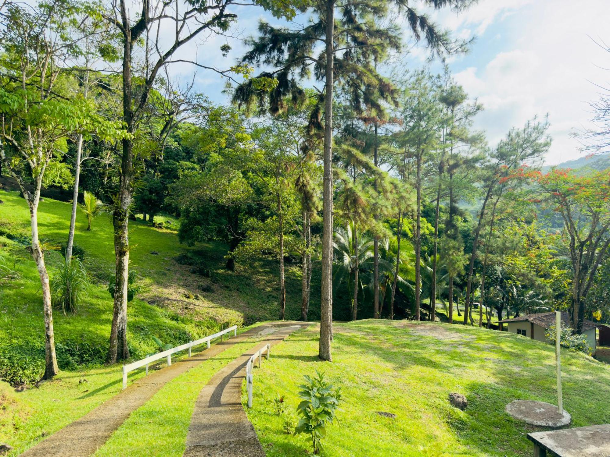 Ranchos De Chalia Panama Hotel ปอร์โตเบโล ภายนอก รูปภาพ